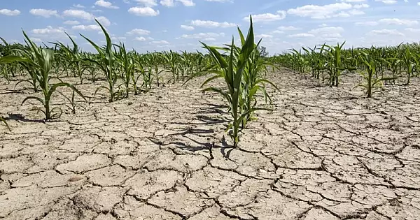 O treime din terenurile agricole sunt supuse desertificarii. Cum isi gestioneaza Romania resursele de apa