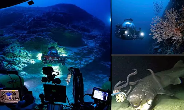 ,,Oaza vietii" ascunsa, descoperita in adancul oceanului din Maldive: ce au descoperit cercetatorii
