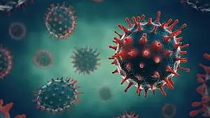 OFICIAL – Varianta Delta a coronavirusului a ajuns si in Maramures