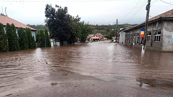 Peste 3.200 de animale si 14.000 de pasari au murit in Vaslui si Galati! Cifrele dezastrului dupa inundatiile fara precedent