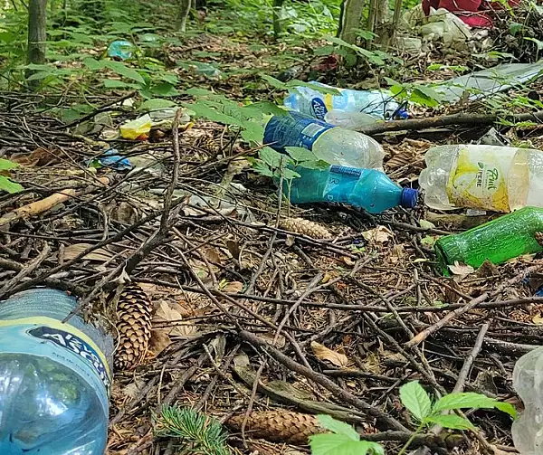 Plasticul din natura au devenit o problema majora in Romania. 40% din romani cer sanctiuni mai aspre