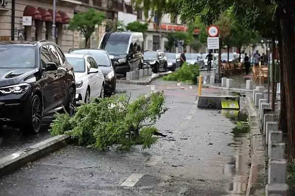 Ploaie torentiala si grindina in Bucuresti: zeci de copaci cazuti si surpare in carosabil pe o strada. Pompierii au intervenit in mai multe zone