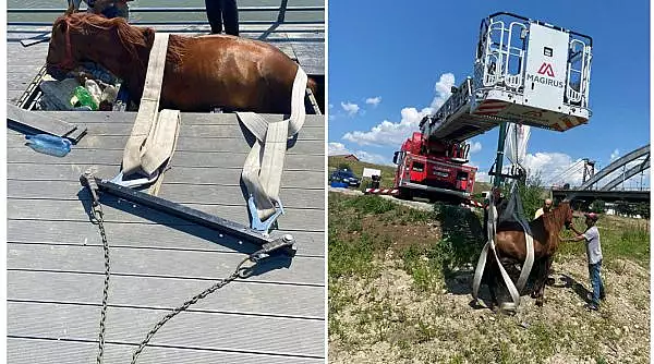 Ponton de 80.000 de euro, prabusit sub greutatea unui cal, intr-un cartier din Alba Iulia