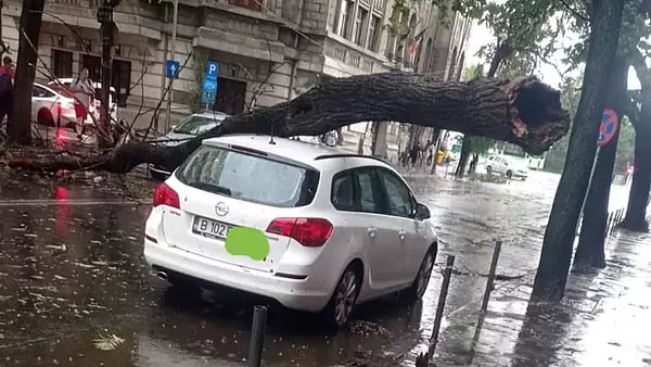 Prapad in mai multe zone din Bucuresti dupa furtuna cu piatra! Copaci cazuti peste masini, trafic BLOCAT