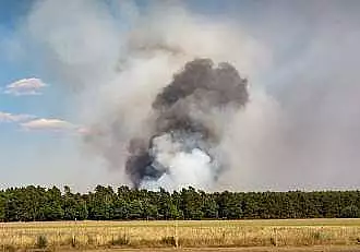 Prapad in toata lumea din cauza vremii! Incendiile si vijeliile provoaca nenumarate victime omenesti