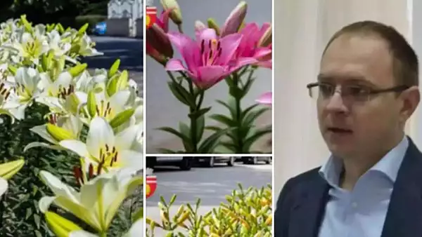 Primarul din Botosani care a umplut orasul de flori pentru amanta vrea un nou mandat. Andrei Cosmin, acuzat ca a fraudat concursuri de angajare
