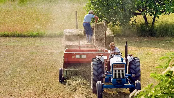 Recolte timpurii din cauza incalzirii globale. Ce spun fermierii