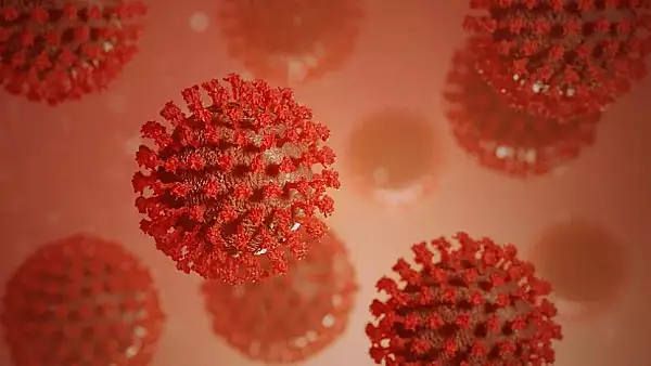 RECORD la infectarile cu noul coronavirus in Germania - peste 10.000 de noi cazuri in 24 de ore 