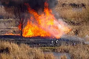 Risc major de incendii de vegetatie in Bulgaria. Autoritatile sunt in alerta