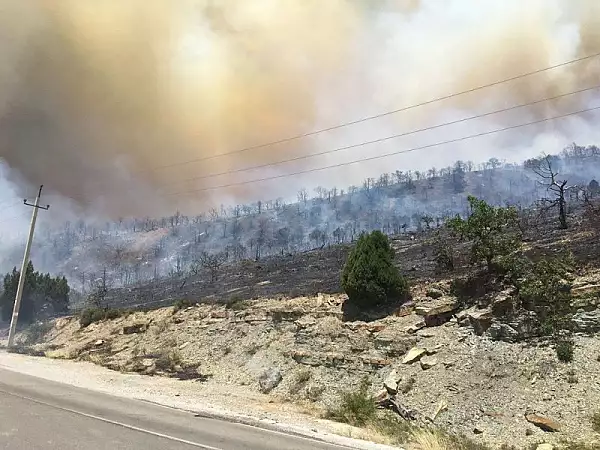 Rusia, ingenuncheata de canicula. Sute de incendii declansate in 20 de regiuni VIDEO