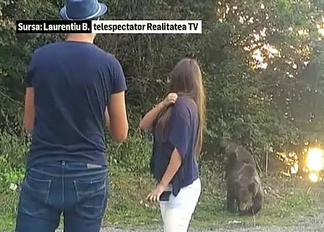S-au oprit din drum sa faca un selfie cu ursul pe Transfagarasan 
