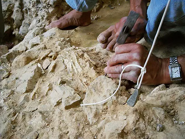 Science Report: Resturi fosile ale unui mamifer total neobisnuit au fost descoperite in Patagonia ? Un lac urias a aparut in cel mai arid loc din America de Nor