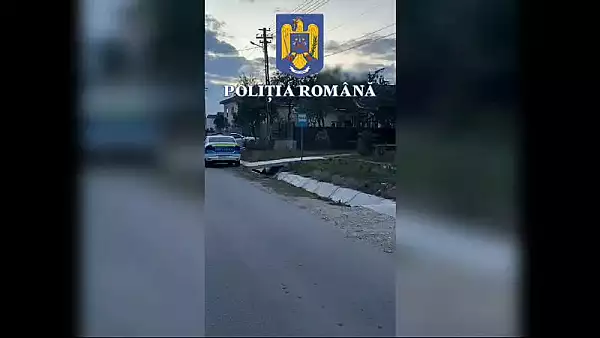 Sofer beat, drogat si agresiv cu politistii, retinut in trafic. Pe deasupra, avea si permisul suspendat VIDEO