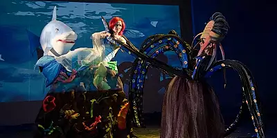 Spectacolele de la ,,Gulliver", aplaudate indelung la festivaluri de teatru pentru copii