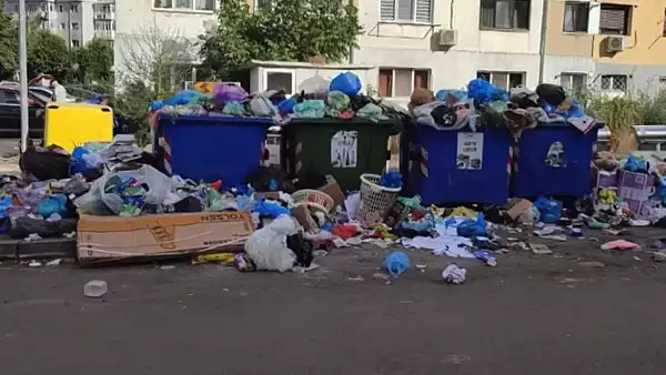 Stare de alerta in Dragasani. Gunoiul nu a mai fost ridicat din oras de zile bune VIDEO