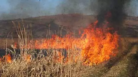 Stare de urgenta in Bulgaria, din cauza unui incendiu de vegetatie