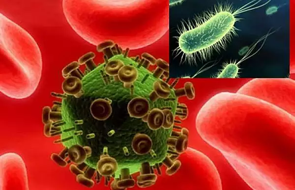 superbacteriile-care-fac-sah-mat-sistemul-medical-omenirea-este-tot-mai-vulnerabila-in-fata-microorganismelor.webp
