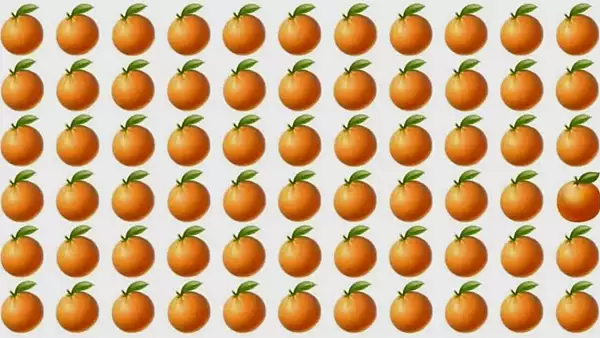 Testul de atentie pe care doar 2% dintre subiecti il trec: ghiceste portocala speciala in 5 secunde