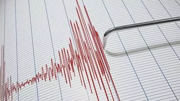 Trei cutremure, noaptea trecuta, in Vrancea - Ce magnitudine au avut seismele