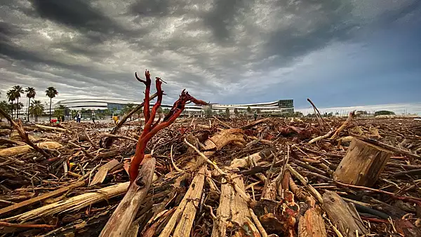 Trei romani din zece cred ca schimbarile climatice sunt un FAKE NEWS. Cum percep romanii relatia cu mediul si natura - SONDAJ INSCOP