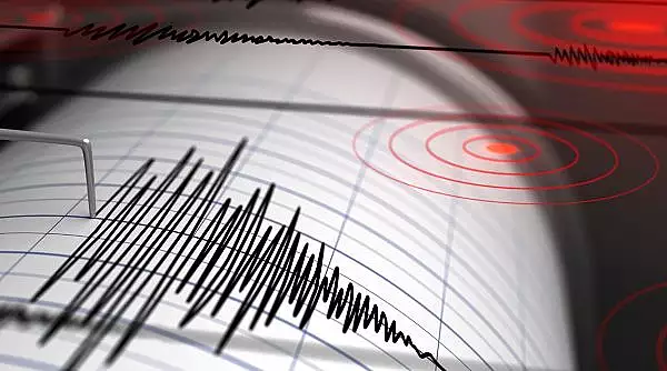 Un cutremur cu magnitudinea de 6,4 pe Richter a zguduit in sudul Japoniei