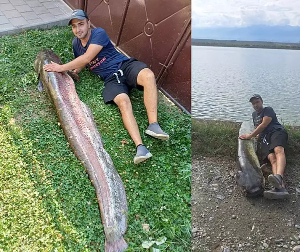 Un ,,monstru" a fost prins in tara noastra! Cum a fost scos din lac un peste de peste 60 de kilograme