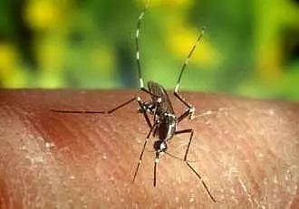 Un nou caz de deces din cauza malariei a fost inregistrat in Republica Moldova. Barbatul de 26 de ani a calatorit in Africa de Vest