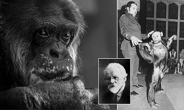 Un om de stiinta rus a incercat sa creeze un hibrid om-cimpanzeu. Ce s-a intamplat cu acest experiment inedit