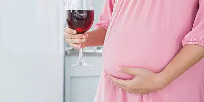 Un pahar de vin pe zi scade fertilitatea femeilor: ,,Alcoolul perturba
ciclurile  menstruale si poate dauna
fatului"