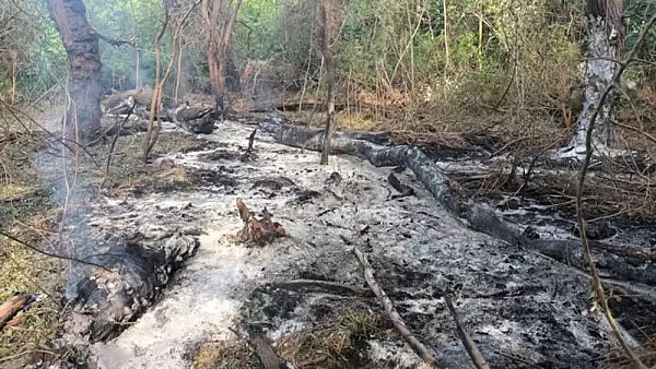 ,,Valea Dronelor". Ce trebuie sa stiti despre localitatea Plauru din Tulcea unde cad dronele rusesti 