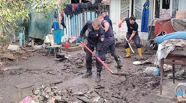 "Vezi ce e viu si ce e mort". Mii de vaci, oi si pasari au fost luate de ape, provocarea acum e gasirea lor in malul de dupa inundatii