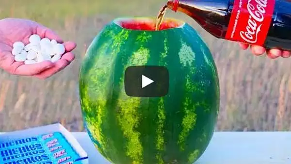 VIDEO - Ce se intampla daca pui cola si mentos intr-un pepene rosu - Experimentul cu rezultat neasteptat