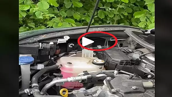 VIDEO - Surpriza mare sub capota masinii - Motivul pentru care nu mai mergea motorul