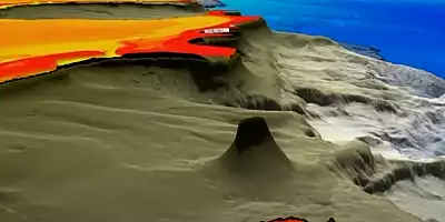 VIDEO Un recif inalt cat Empire State Building, descoperit in Marea Bariera de Corali
