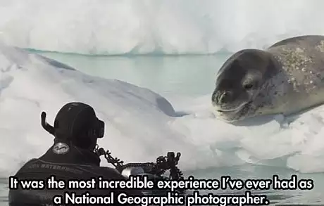 Voia sa pozeze sub apa o foca, dar animalul a plecat. S-a intors, insa, cu ceva incredibil