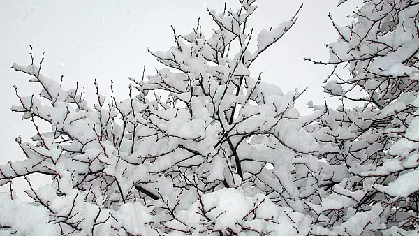 Vreme extrema: cod galben de ninsori dupa temperaturile de vara. Cat va mai tine episodul de iarna