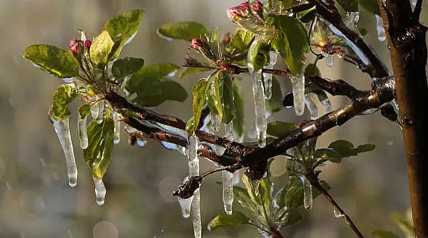 Vremea se raceste brusc in Romania! Temperaturile scad puternic de la o zi la alta | Prognoza meteo pentru urmatoarele patru saptamani