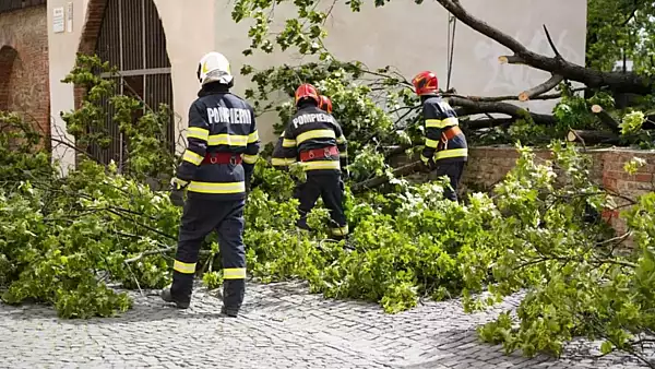 Zeci de copaci cazuti in Bucuresti in urma vijeliei. ISU lucreaza la foc continuu pentru indepartarea acestora. LISTA strazilor afectate