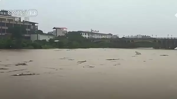 Zeci de crocodili au scapat dintr-o crescatorie din China in urma inundatiilor VIDEO