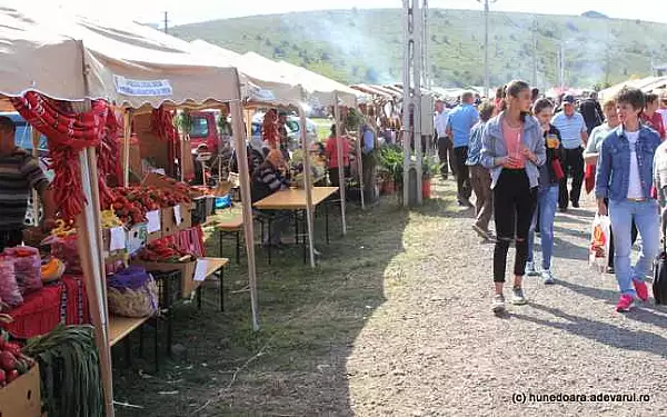 Ziua Recoltei 2016: Targul produselor traditionale, vizitat de mii de oameni